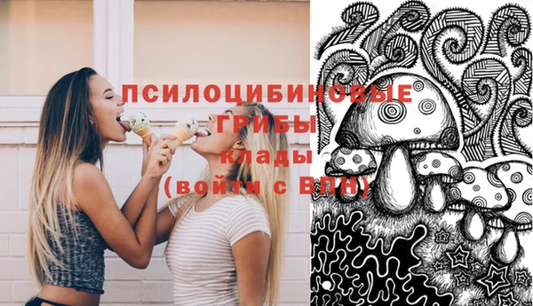 каннабис Ельня