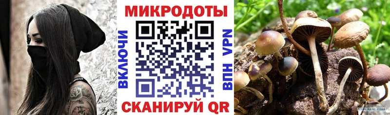 закладка  Альметьевск  мега как зайти  Галлюциногенные грибы мухоморы 